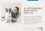 design a sleek, editable canva presentation, slide or pitchdeck